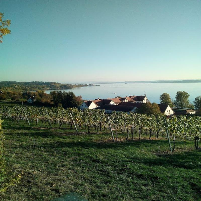 Ferienwohnung Am Bodensee Uhldingen-Mühlhofen Exteriör bild